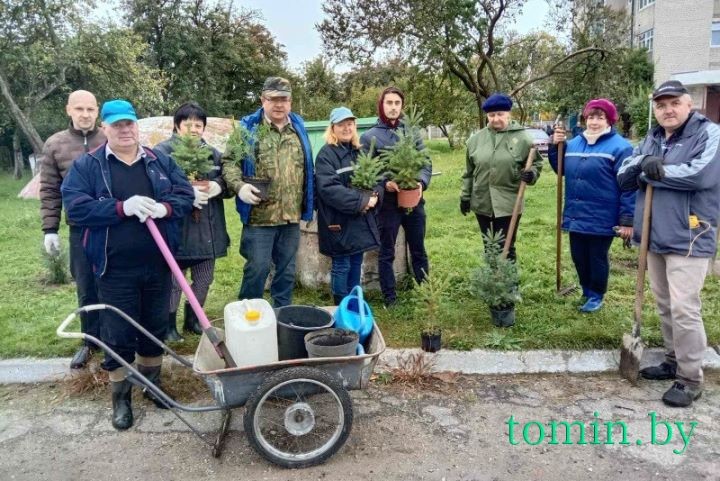 Территорию Брестоблгидромета украсили 68 саженцев можжевельника, елей и туй