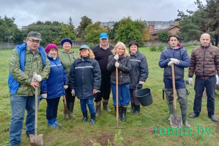 Территорию Брестоблгидромета украсили 68 саженцев можжевельника, елей и туй