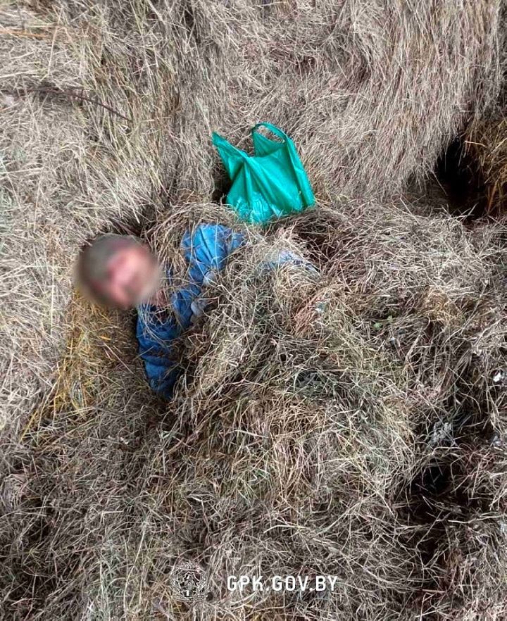 Перешел границу и спрятался в сене: в Столинском районе задержали нарушителя из Украины