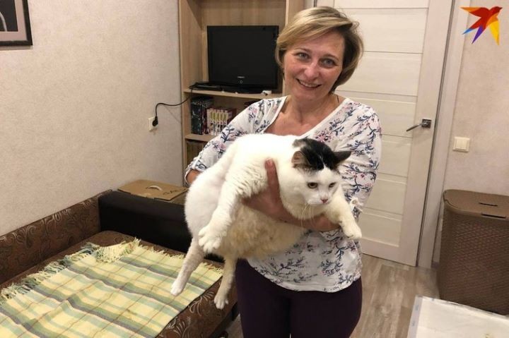 «Перышко на самом деле зовут Месси»: после смерти самого толстого кота Беларуси выяснились неизвестные подробности его истории