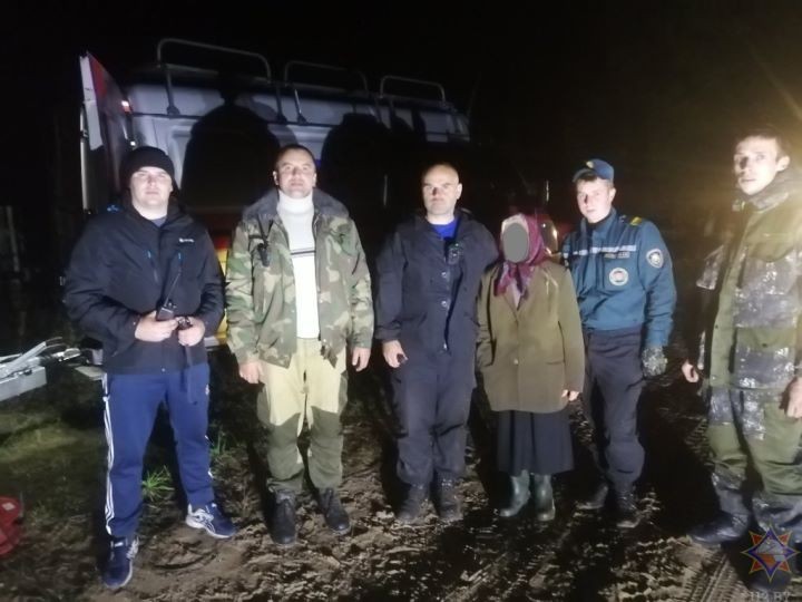 В лесном массиве Брестчины за минувшие сутки потерялись два человека