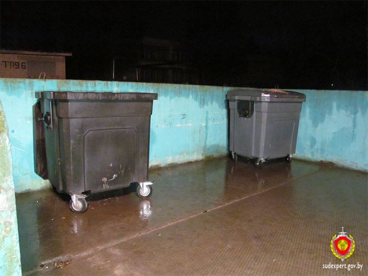 Убил и расчленил. Завершено расследование громкого дела о жестоком убийстве в Барановичах