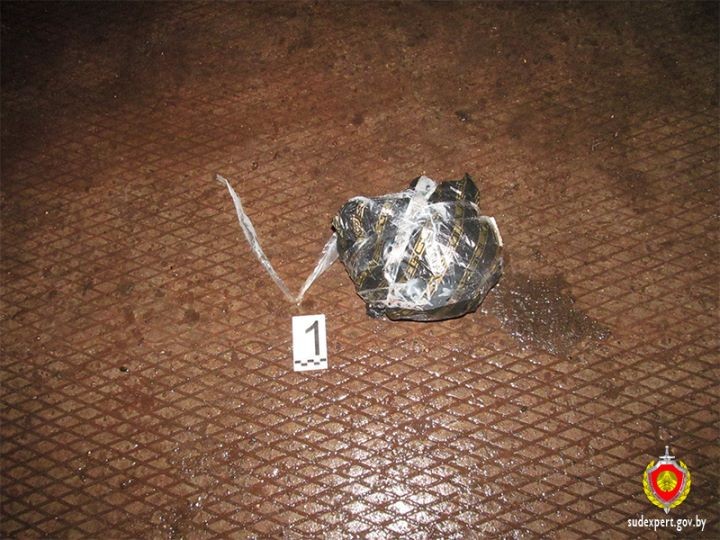 Убил и расчленил. Завершено расследование громкого дела о жестоком убийстве в Барановичах