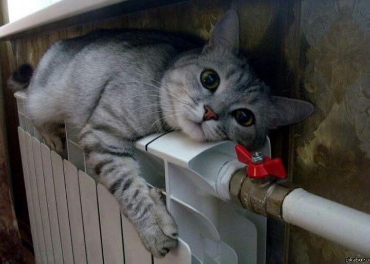 Фото из открытых источников (иллюстрация)