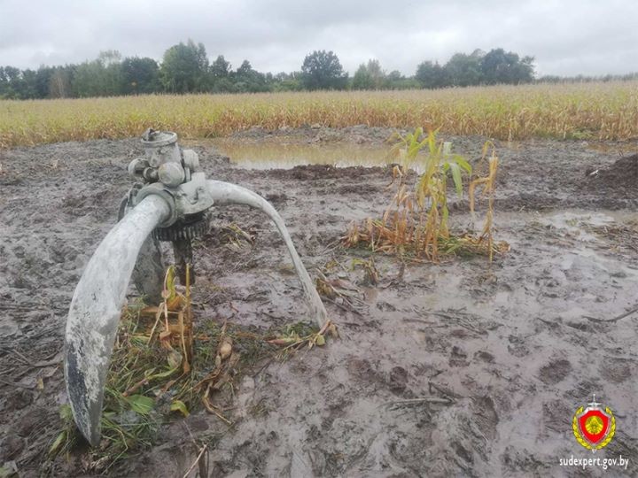 Останки летчика обнаружены в сбитом в войну самолете в Кобринском районе