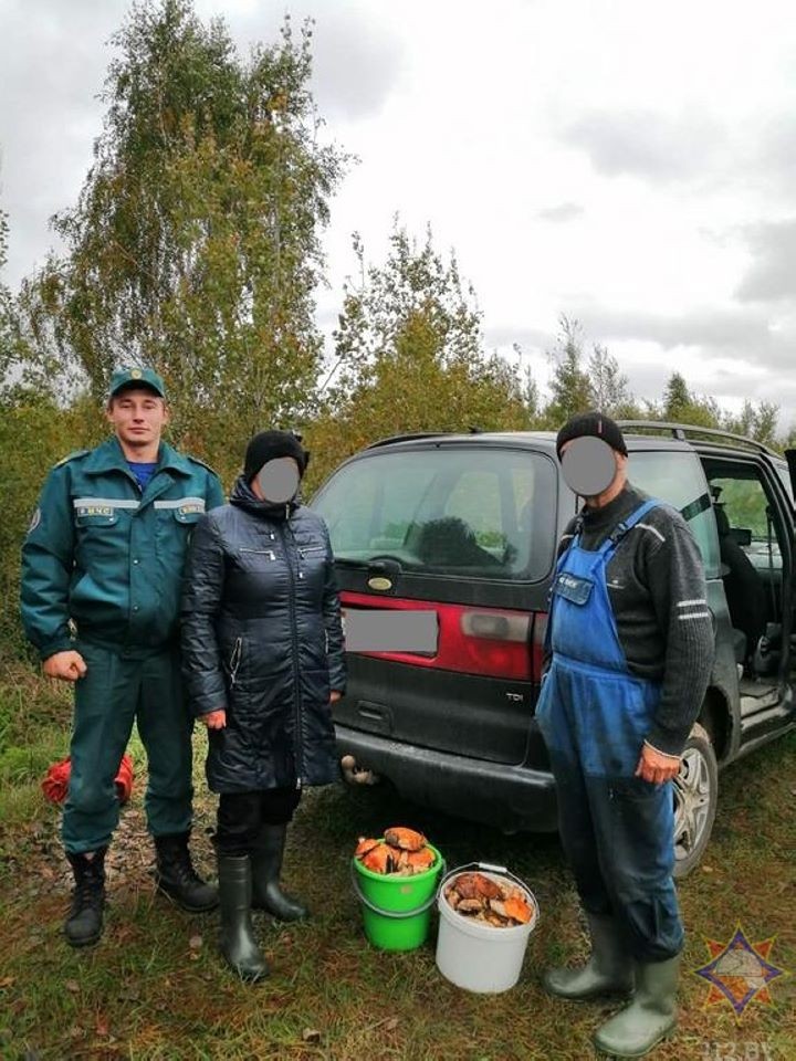 За сутки в лесах Брестчины потерялись 4 человека