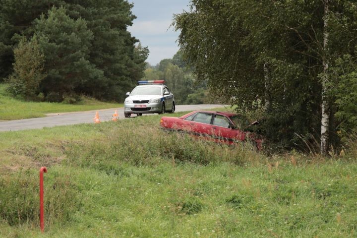 В Брестской области автомобиль Audi вылетел в кювет и врезался в дерево — есть пострадавшие