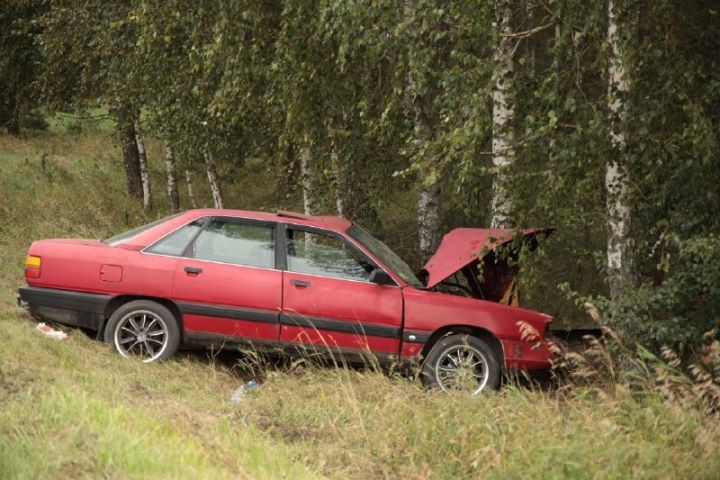 В Брестской области автомобиль Audi вылетел в кювет и врезался в дерево — есть пострадавшие