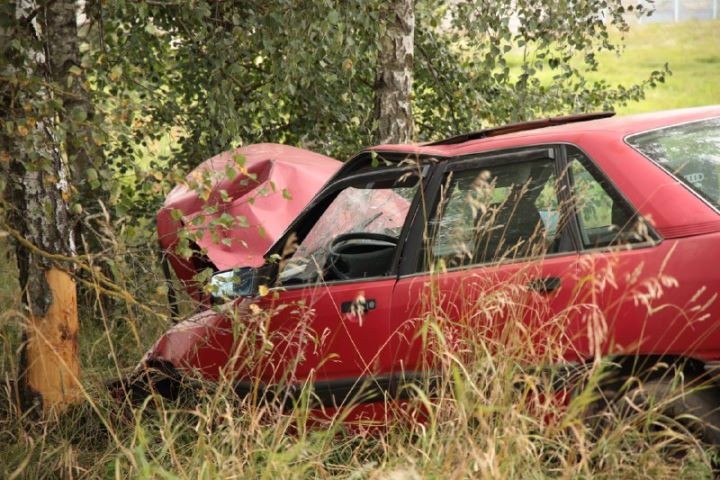 В Брестской области автомобиль Audi вылетел в кювет и врезался в дерево — есть пострадавшие