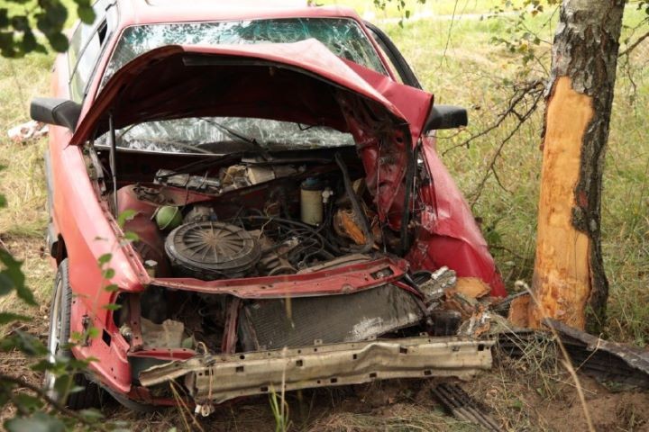 В Брестской области автомобиль Audi вылетел в кювет и врезался в дерево — есть пострадавшие