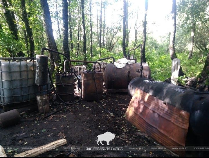 В Беловежской пуще обнаружили мини-завод по производству самогона
