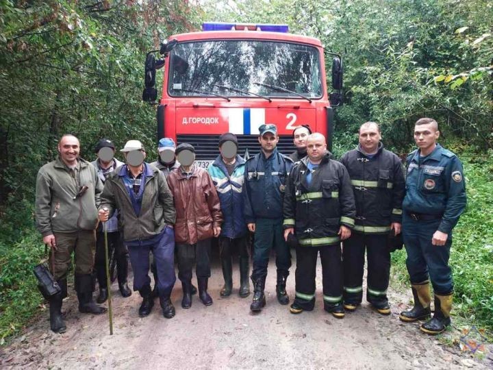 На Брестчине всю ночь искали пятерых потерявшихся в лесу грибников