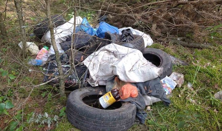 Вывозили мусор в лес — попались в объектив «фотоловушки». Штраф — до 580 рублей