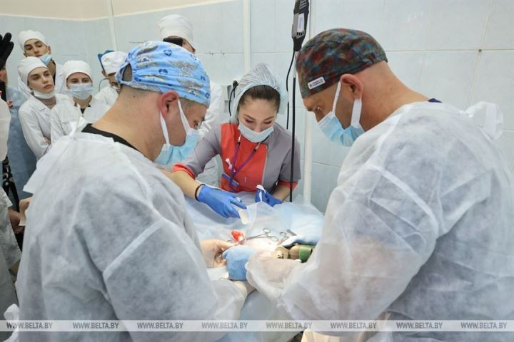 Потерявшей лапу кошке впервые поставили протез белорусского производства