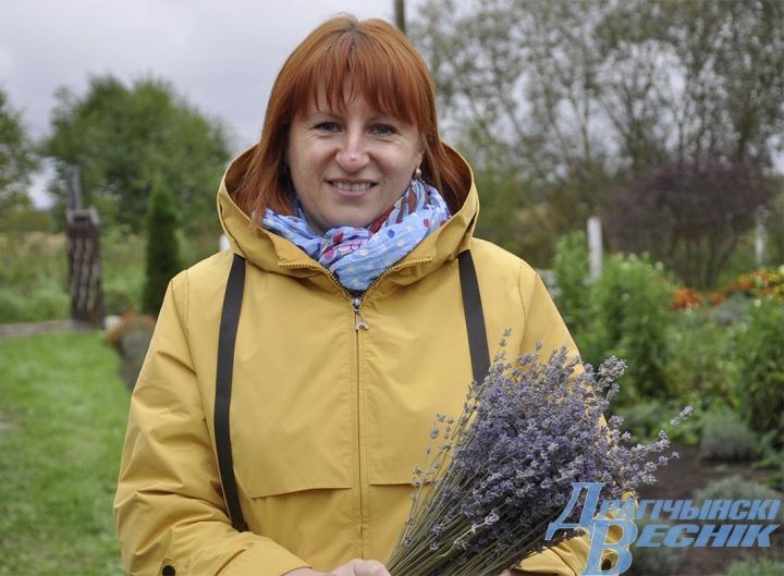 Свой Прованс: семья из Дрогичина выращивает лаванду