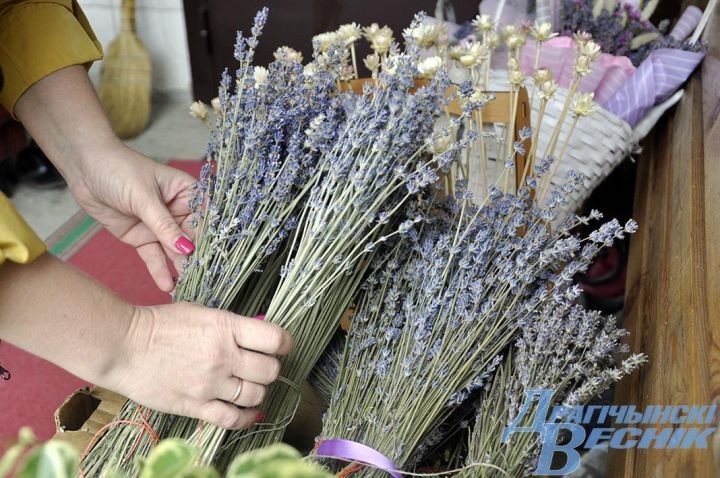 Свой Прованс: семья из Дрогичина выращивает лаванду