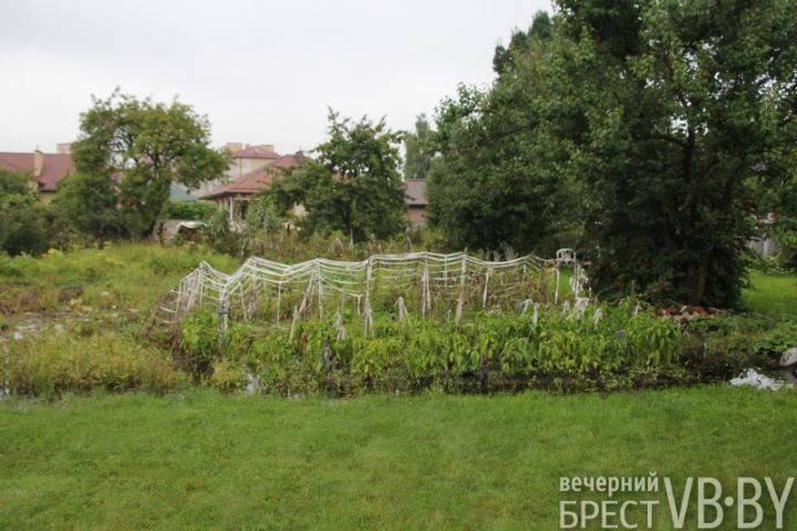 Жители улицы Пугачевской после обильных дождей становятся заложниками своих подворий