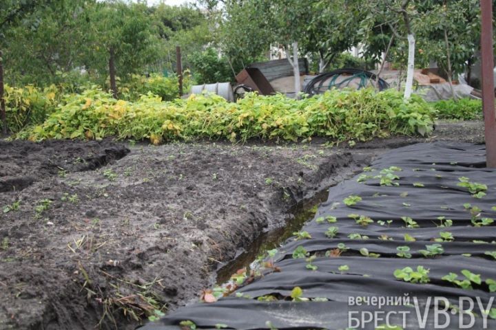 Жители улицы Пугачевской после обильных дождей становятся заложниками своих подворий