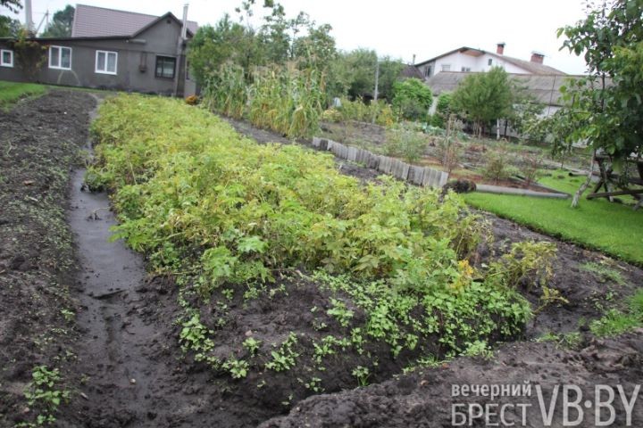 Жители улицы Пугачевской после обильных дождей становятся заложниками своих подворий