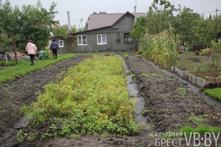Жители улицы Пугачевской после обильных дождей становятся заложниками своих подворий