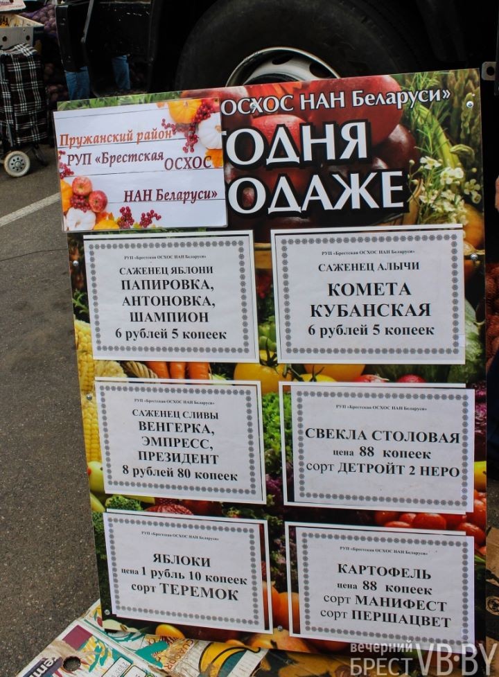 Ярмарка в Бресте