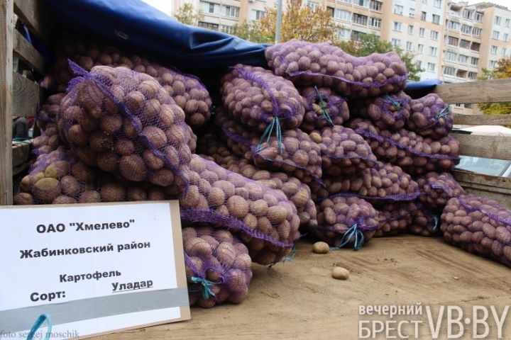 Ярмарка в Бресте