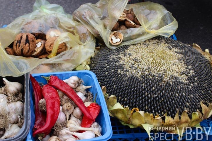 Ярмарка в Бресте