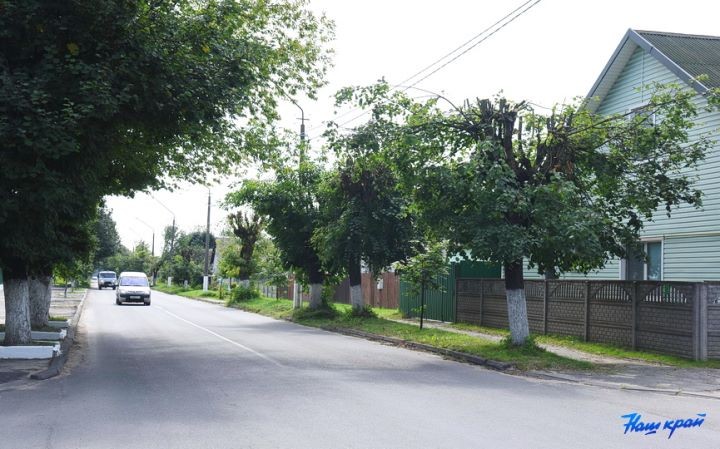 После обрезки деревья в Барановичах смотрятся нелепо