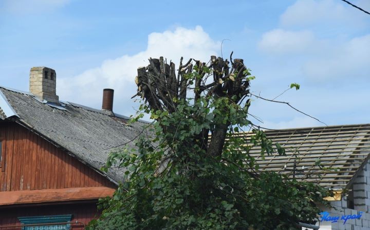 После обрезки деревья в Барановичах смотрятся нелепо