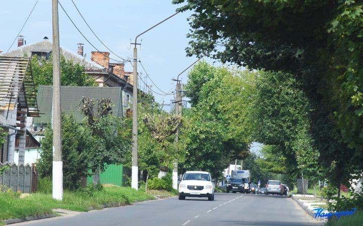 После обрезки деревья в Барановичах смотрятся нелепо