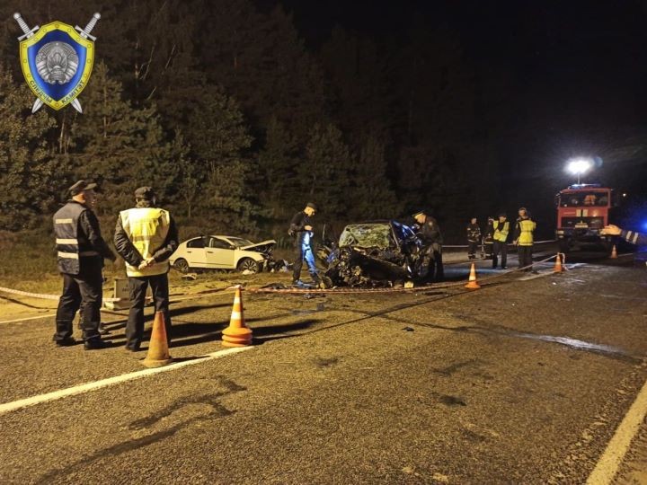 Уголовное дело возбуждено по факту ДТП с четырьмя погибшими в Ивацевичском районе