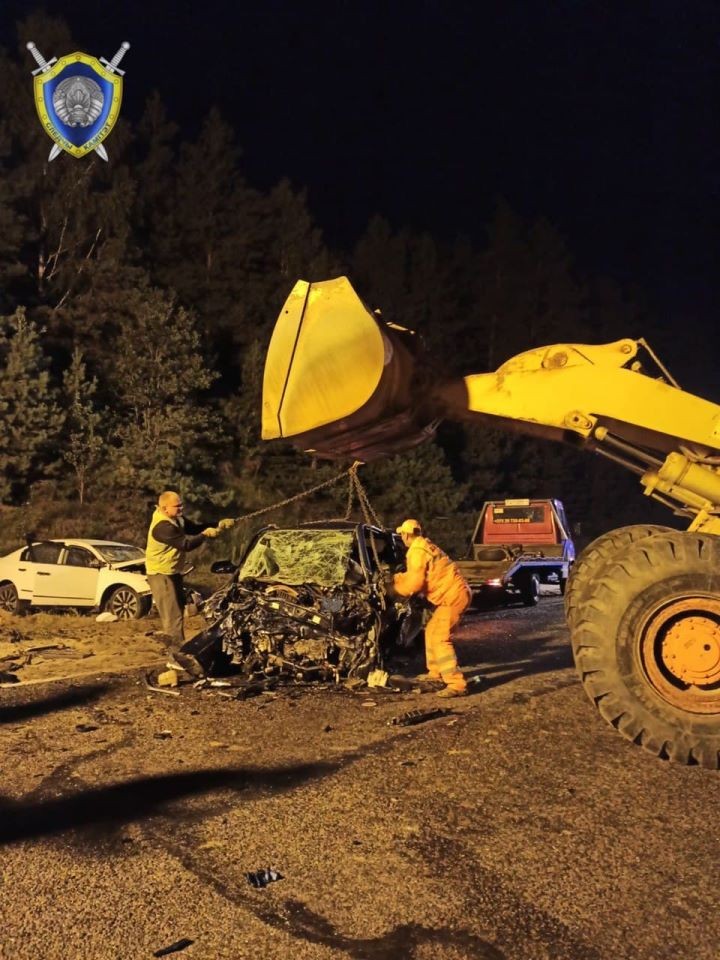 Уголовное дело возбуждено по факту ДТП с четырьмя погибшими в Ивацевичском районе