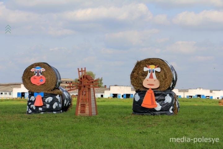 В Брестской области между Пинском и Столином установили арт-объекты из соломы