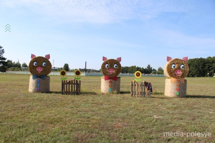 В Брестской области между Пинском и Столином установили арт-объекты из соломы