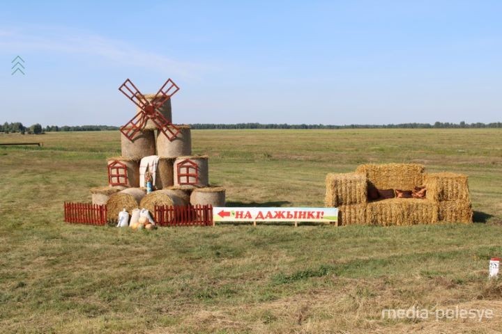 В Брестской области между Пинском и Столином установили арт-объекты из соломы