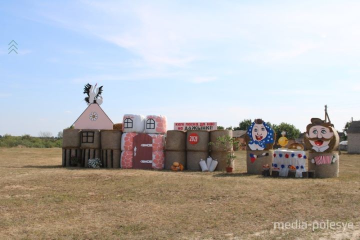В Брестской области между Пинском и Столином установили арт-объекты из соломы