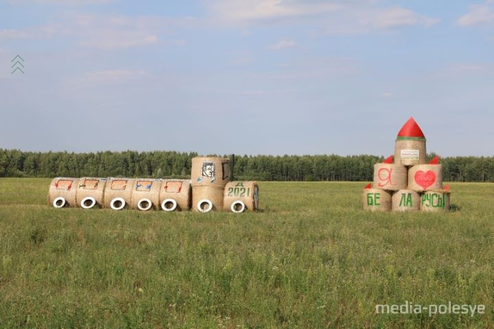В Брестской области между Пинском и Столином установили арт-объекты из соломы