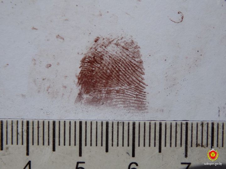 Судебные эксперты помогли раскрыть кражу из дачного дома в Ивановском районе