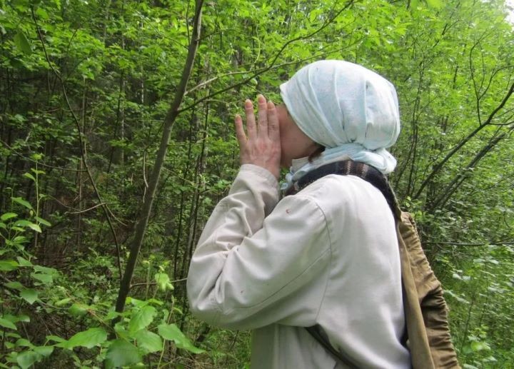 Фото из открытых источников (иллюстрация)