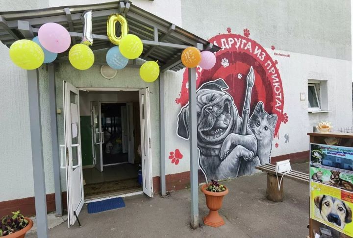 Как работает единственный в стране приют, где животных не усыпляют