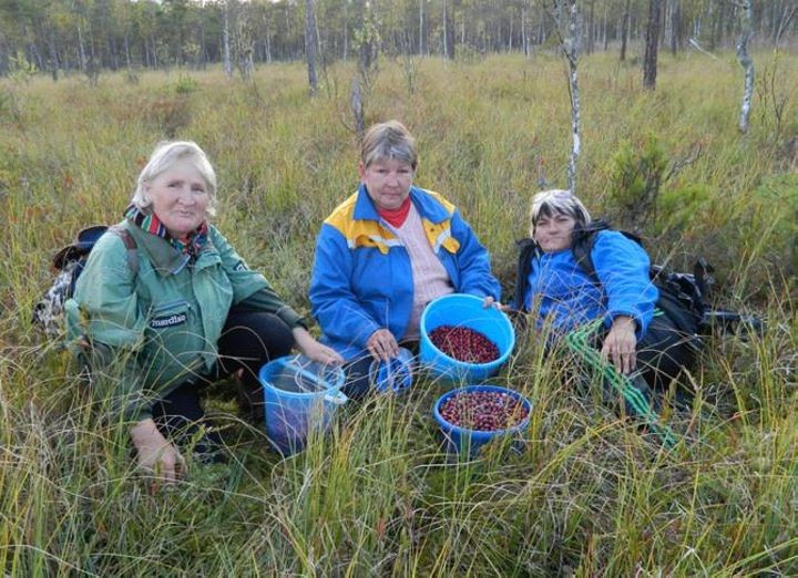 Фото из открытых источников (иллюстрация)