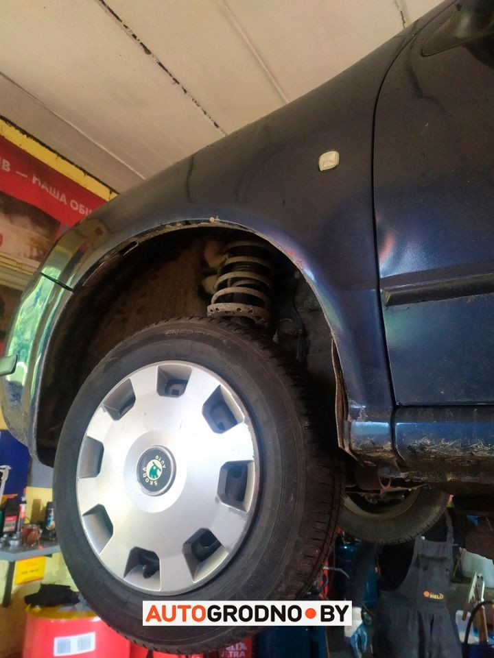 Упрямый котенок спрятался под автомобилем и катался по городу: «Еле достали!»