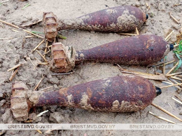 В Брестском районе обнаружены минометные мины
