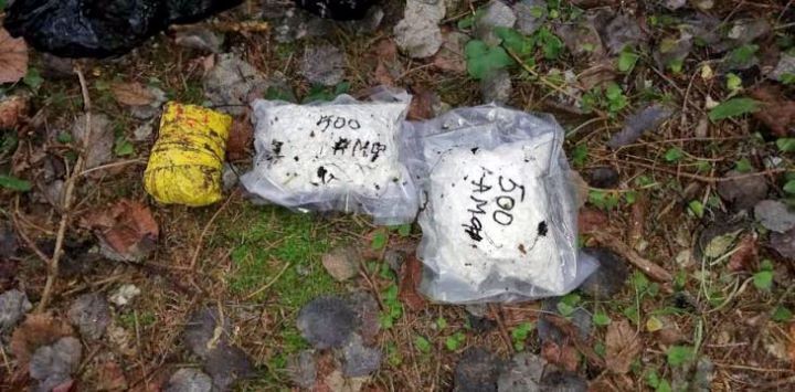 11 лет каждому – суд Кобринского района вынес приговор закладчикам наркотиков