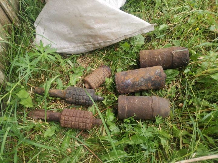 У жителя Пинского района изъяли боевой арсенал Первой мировой войны