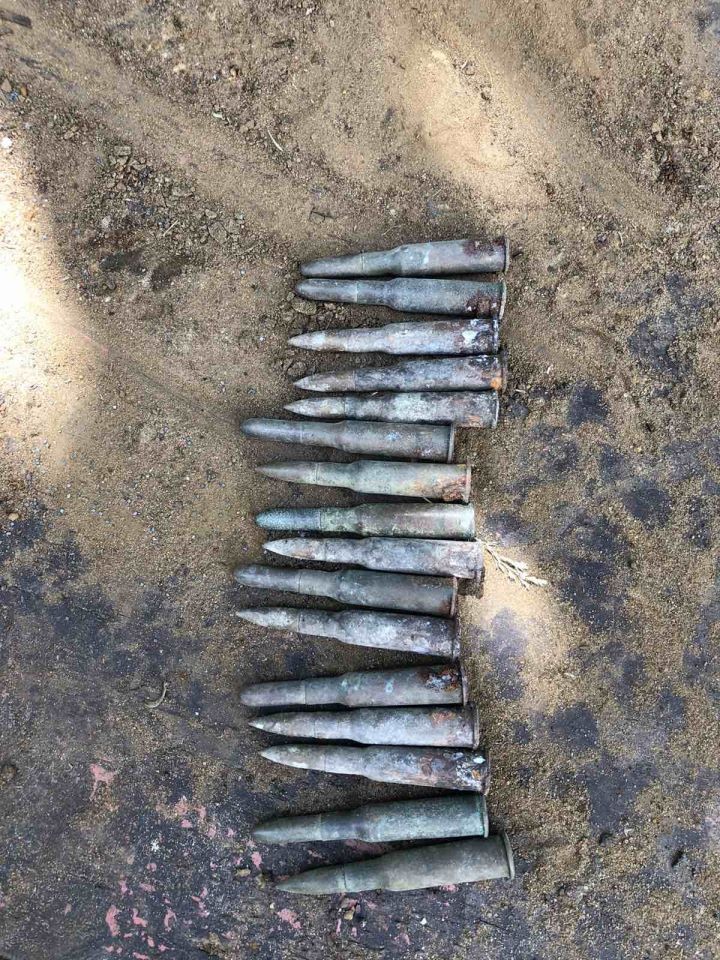 У жителя Пинского района изъяли боевой арсенал Первой мировой войны