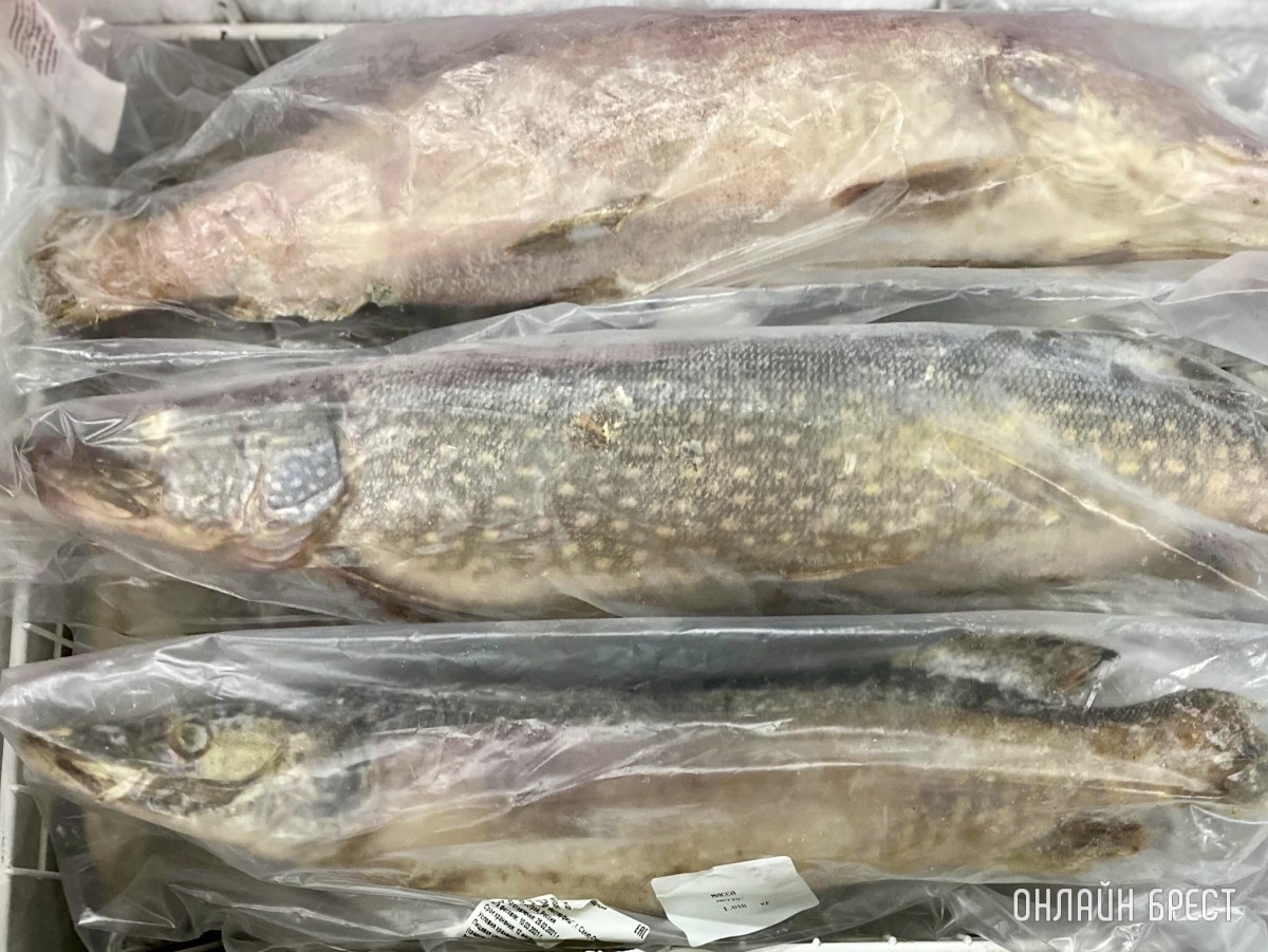 В дискаунтере «Светофор» на Приграничной, район Козлович в Бресте, большое пополнение товара по низким ценам: мясо, рыба, сладости, бакалея, хозтовары