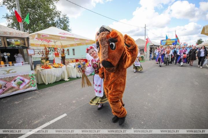 Каменецкий район победил в соревнованиях по уборке зерна в Брестской области