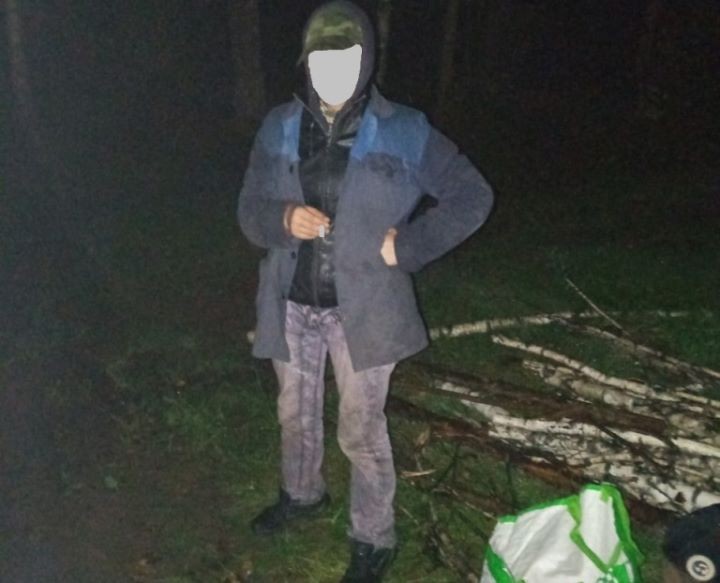 Найдена женщина, заблудившаяся при сборе грибов в Брестской области