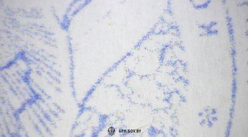 Мачеха пыталась незаконно вывезти ребенка из Беларуси